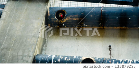 Colorful photo of lovebirds in captivity These brightly colored small birds attract many bird lovers due to their extraordinary loyalty to their mates. Colorful photo of lovebirds in captivity These brightly colored small birds attract many bird lovers due to their extraordinary loyalty to their mates. 133879253