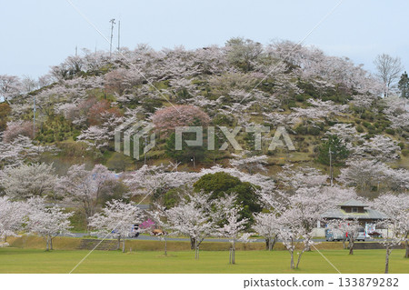 Maruoka Park in Kirishima City 133879282