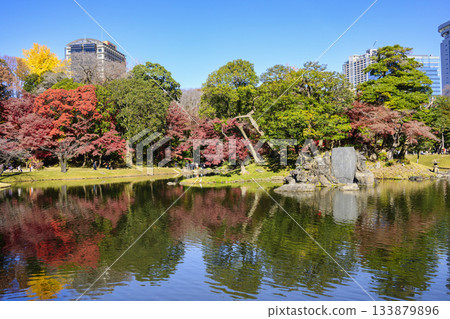 東京,小石川後樂園,大泉,秋葉景色,國家歷史遺跡 東京,小石川後樂園,大泉,秋葉景色,國家歷史遺跡 133879896