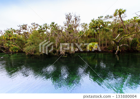Blue Springs State Park, Florida 133880004