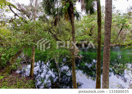 Blue Springs State Park, Florida 133880035