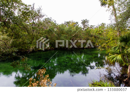Blue Springs State Park, Florida 133880037
