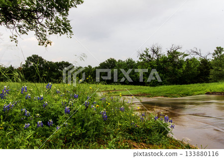 Stream, Bluebonnet Park, Ennis, Texas Stream, Bluebonnet Park, Ennis, Texas 133880116