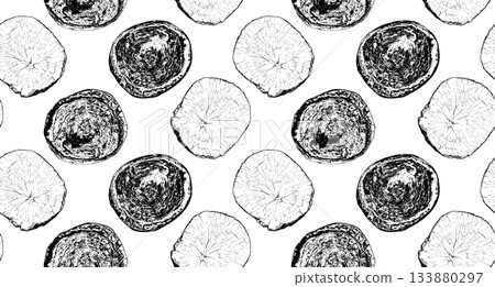 Wood cross section 133880297