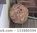 Wasp nest/hornet 133880394