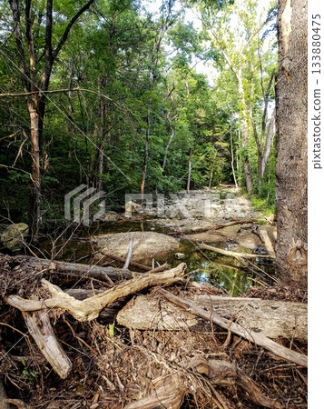 Tributary of Roark Creek, Branson, Missouri Tributary of Roark Creek, Branson, Missouri 133880475