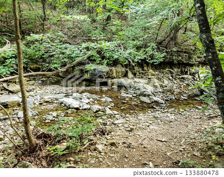 Tributary of Roark Creek, Branson, Missouri 133880478