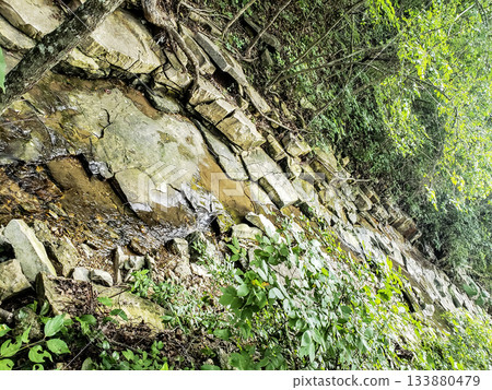 Tributary of Roark Creek, Branson, Missouri Tributary of Roark Creek, Branson, Missouri 133880479