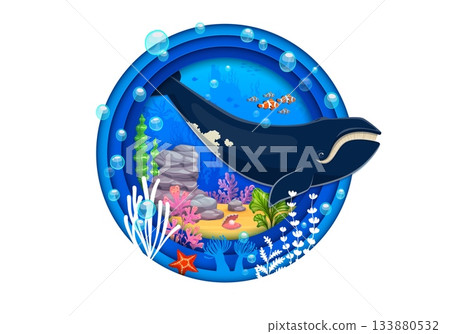Underwater landscape with bowhead whale and fishes in paper cut water frame, cartoon vector. Sea or ocean underwater landscape with Arctic whale, starfish and clownfish or pearl shell in paper cut 133880532