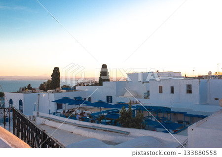 Beautiful scenery of Sidi Bou Said, Tunisia 133880558