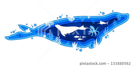 Paper cut seal silhouette with underwater landscape, sea animals and fishes, vector banner. Ocean undersea or sea underwater landscape, octopus and tuna with seaweeds in seal paper cut frame 133880562