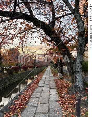 京都的秋天,鐵學之道 京都的秋天,鐵學之道 133880617