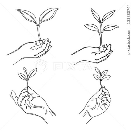 Growing Hope Line Art Illustration of Hands Holding Seedlings Symbolizing Growth and New Beginnings 133880744
