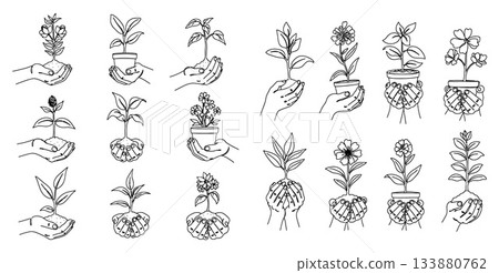 Line Art Hands Holding Plants, Flowers, and Seedlings Growth and Nurturing 133880762