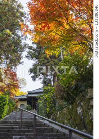 京都安養寺石階與秋葉 133880846