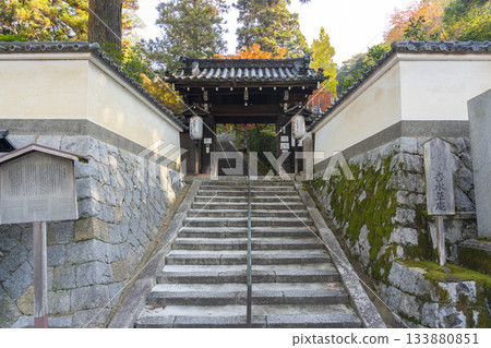 京都安養寺的山門和秋葉 133880851