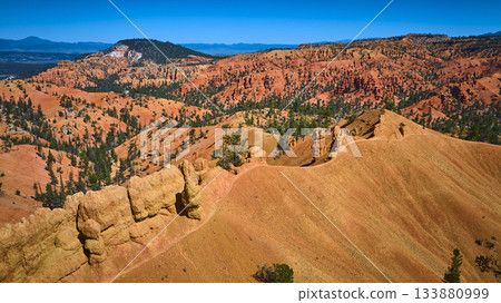 Aerial Red Canyon Landscape Golden Wall Trail and Pine Trees Utah 133880999
