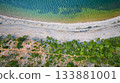 Aerial Vibrant Lake Shoreline and Forest Edge Top Down View 133881001