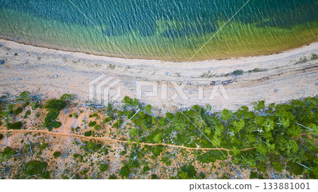 Aerial Vibrant Lake Shoreline and Forest Edge Top Down View Aerial Vibrant Lake Shoreline and Forest Edge Top Down View 133881001