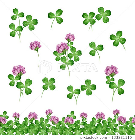 Red clover medicanal plant watercolor illustration set. Hand drawn Trifolium pratense wildflower herb flowers, leaves, seamless border decor element on white background 133881110