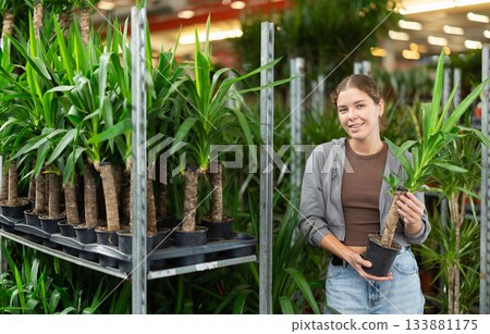 Girl examines goods and chooses yucca elephantipes potted flower in flowering shop Girl examines goods and chooses yucca elephantipes potted flower in flowering shop 133881175