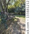 Bench in sunbeam leaves 133881212