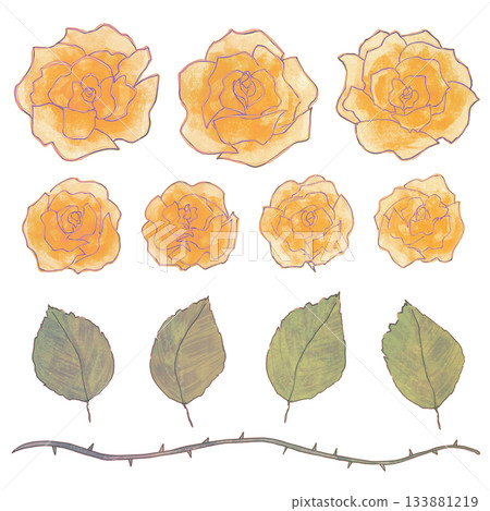 Hand-drawn illustration of a girl's manga-style yellow rose and leaves set 133881219