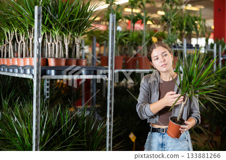 Woman carefully selects dracaena flower in flower shop Woman carefully selects dracaena flower in flower shop 133881266