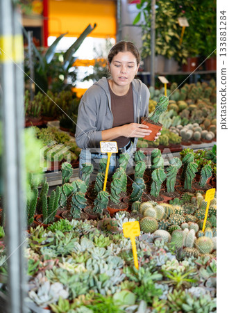 Girl chooses cactus to decorate her home Girl chooses cactus to decorate her home 133881284