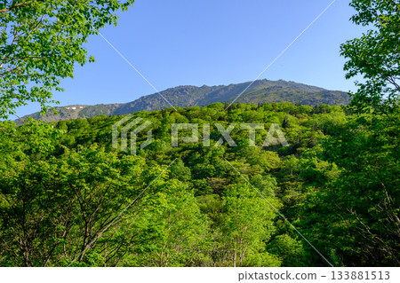 Hayachine mountain climbing Hayachine mountain climbing 133881513