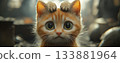 Cute cat 133881964