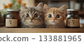 Cute cat 133881965