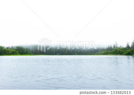 Nature scene at the misty rainforest lake in the summer morning. 133882013