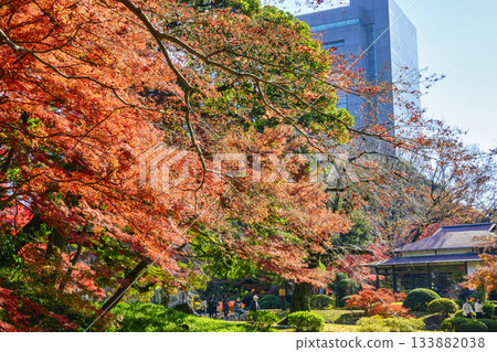 東京小石川後樂園 — 國家歷史遺址關德亭附近的秋葉風光 東京小石川後樂園 — 國家歷史遺址關德亭附近的秋葉風光 133882038