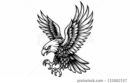 Illustration of an aggressive eagle in black and white 133882537