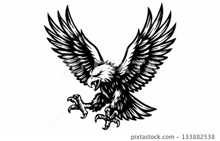 Illustration of an aggressive eagle in black and white 133882538