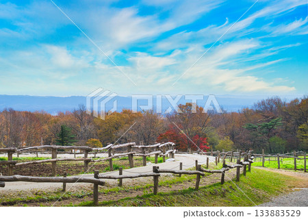 秋日晴空下，從旅遊牧場眺望，景色壯麗。 133883529
