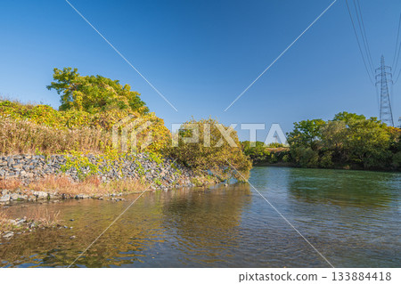 京都會伏見區宇治川風光 133884418