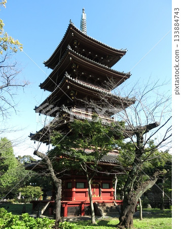 The five-story pagoda of the former Kan'ei-ji Temple at Ueno Zoo in Taito Ward 133884743