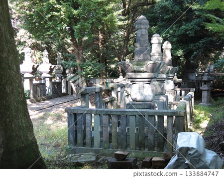 伊勢藩主藤堂家的墓園至今仍位於台東區的上野動物園內。 伊勢藩主藤堂家的墓園至今仍位於台東區的上野動物園內。 133884747