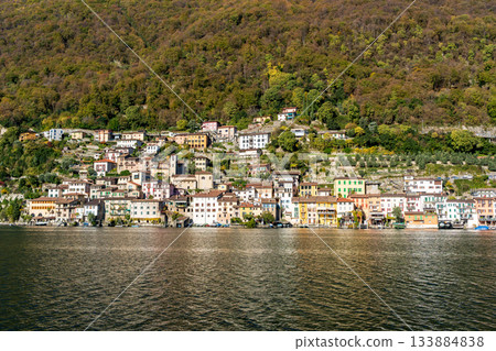 瑞士提契諾州盧加諾甘德里亞山坡上的彩色房屋 133884838