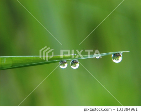 Water droplets Water droplets 133884961