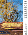 落葉正在損壞屋頂。 133885053