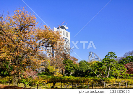位於東京的小石川後樂園,是國家特別歷史遺跡,秋季鳶尾花田的紅葉景色迷人。 位於東京的小石川後樂園,是國家特別歷史遺跡,秋季鳶尾花田的紅葉景色迷人。 133885055