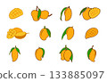 Mango fruit vector illustration set, Mango fruit vector, Mango svg, Mango drawing, Mango icon, Mango illustration. 133885097