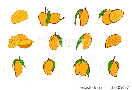 Mango fruit vector illustration set, Mango fruit vector, Mango svg, Mango drawing, Mango icon, Mango illustration. Mango fruit vector illustration set, Mango fruit vector, Mango svg, Mango drawing, Mango icon, Mango illustration. 133885097