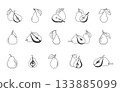 Pear outline bundle, Pear svg, Pear vector, Pear outline, Pear icon set, Pear drawing, Pear silhouette. 133885099