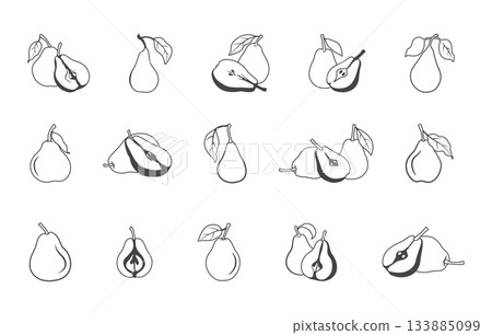 Pear outline bundle, Pear svg, Pear vector, Pear outline, Pear icon set, Pear drawing, Pear silhouette. Pear outline bundle, Pear svg, Pear vector, Pear outline, Pear icon set, Pear drawing, Pear silhouette. 133885099