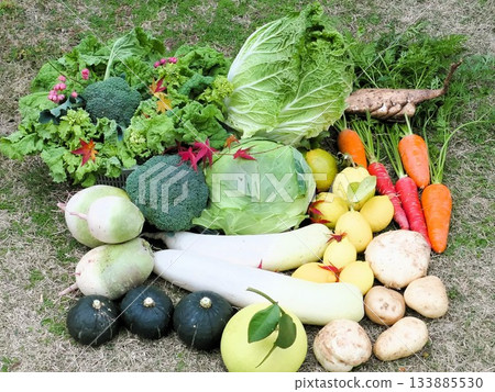 December Harvest 2 133885530