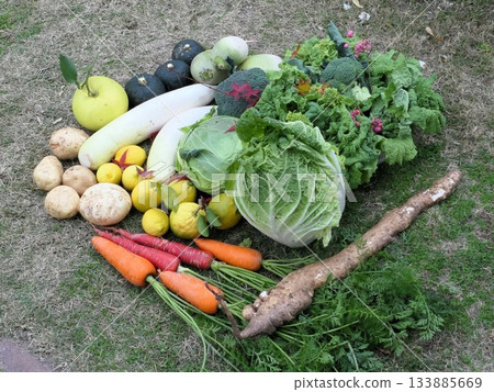 December Harvest 5 December Harvest 5 133885669